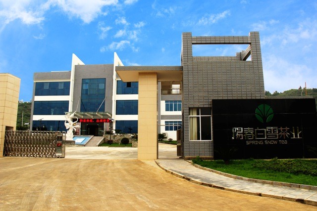 贵州阳春白雪茶业有限公司1.jpg