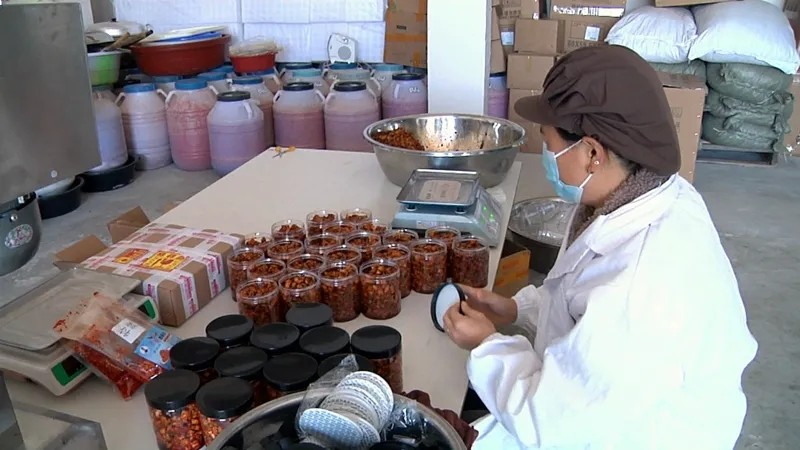 凤冈县绥阳镇金鸡社区的艾艾农家食品厂2.jpg